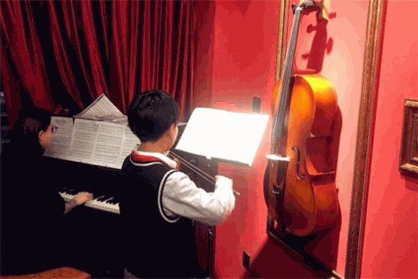 Bravo惊喜乐队研究所